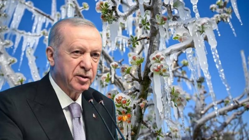Erdoğan açıkladı: Bu meyveler sıkıntı! 