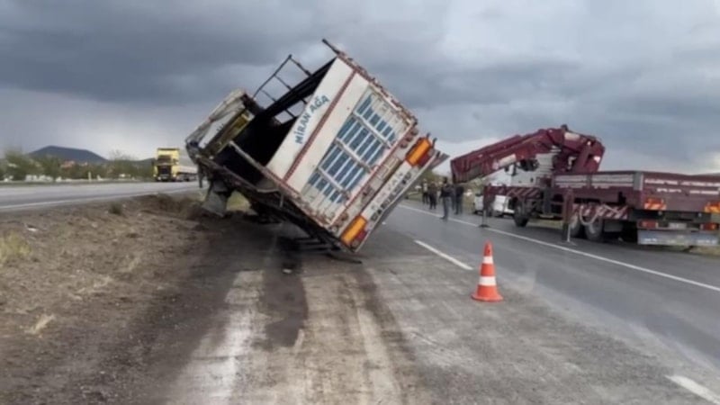 Konya'da devrilen tırdaki 29 angus kayboldu