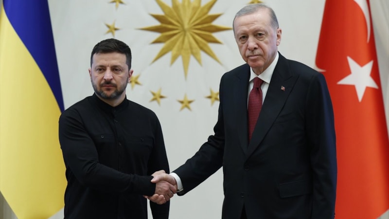Cumhurbaşkanı Erdoğan, Zelensky ile bir araya geldi