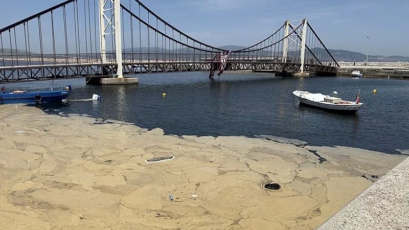 Marmara'dan Saros Körfezi'ne ulaşan müsilaj tehdidi sürüyor