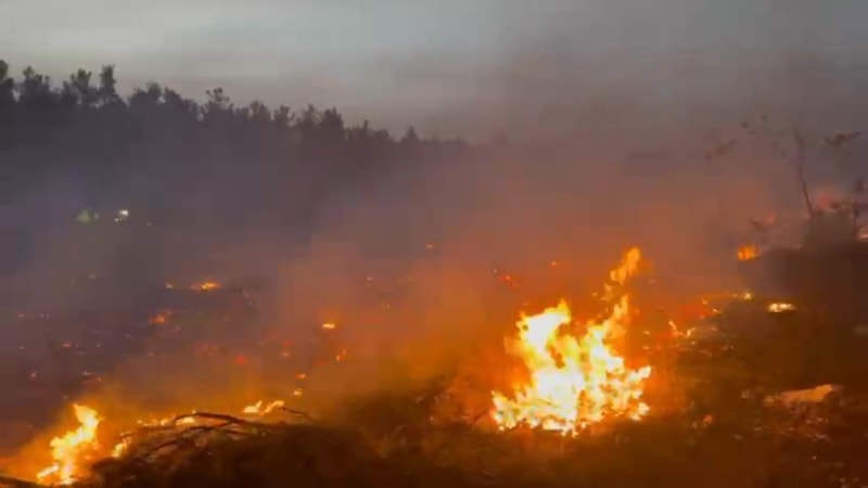 Denizli'de köylüler ve ekiplerin seferber olduğu yangın kontrol altına alındı