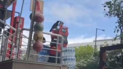 İstanbul'da marketten cips çalan kargaya esnaftan uyarı: Çok acılı alma yakar