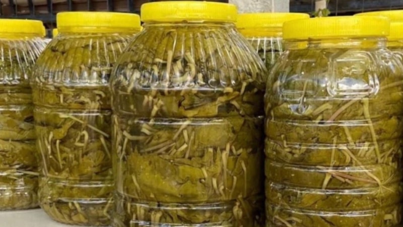 İster tuzlu, ister tuzsuz! 15 dakikada salamura yaprak saklama yöntemi…