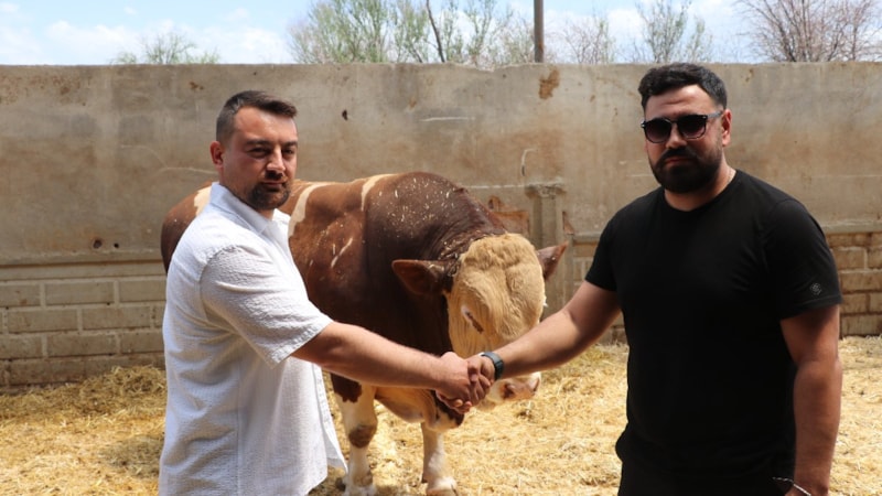 Kayseri'de şampiyon 