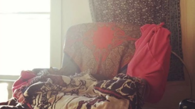 Optik illüzyon: Kedi nerede? Sadece dahiler 7 saniyede bulabiliyor