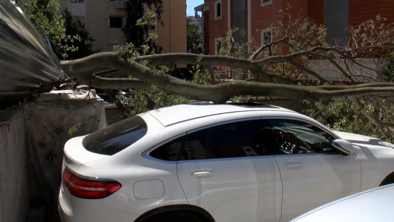 İstanbul'da inşaat alanındaki ağaç otomobilin üstüne devrildi