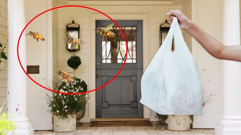 Kapıya asın, yaz boyu rahatlayın! Arılar bundan nefret ediyor