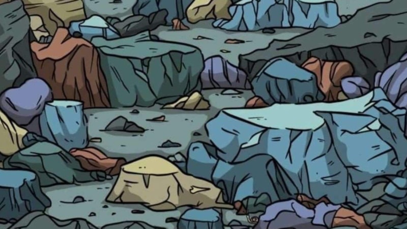 Zekasına güvenen gelsin! Resimdeki salyangozu 5 saniyede bulabilir misiniz?