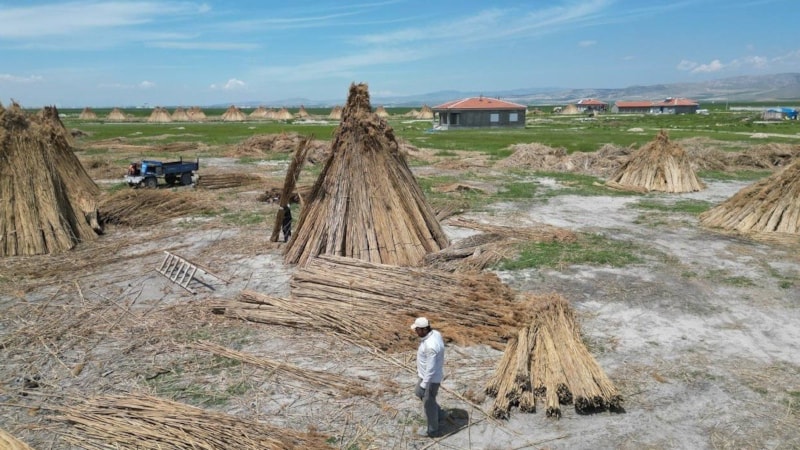 Hasadı başladı: Hollanda ve İngiltere’den sipariş yağıyor