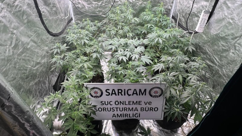 Adana'da apartman dairesine uyuşturucu serası