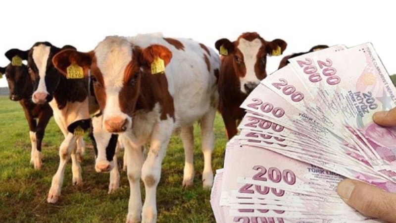 Bakanlık saat verdi: Bu akşam IBAN’a yatıyor