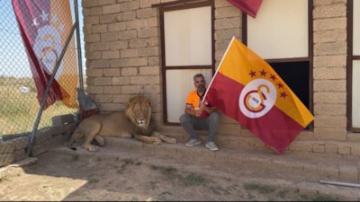 Galatasaraylı futbolsever, şampiyonluğu aslanlarıyla kutladı