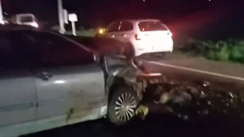 Iğdır'da otomobil çarpan 25 koyun telef oldu