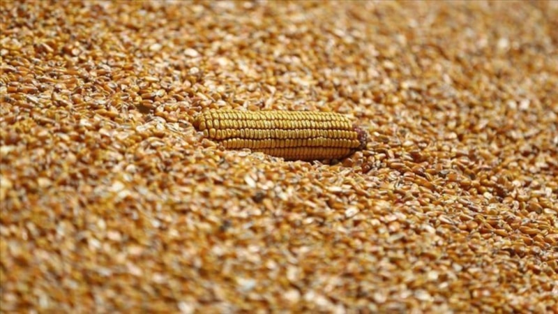 İran 120’şer bin ton yemlik mısır, arpa ve soya küspesi için ihale açtı