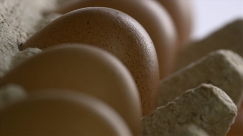 Sofralık yumurta ihracatında muafiyet düzenlemesi