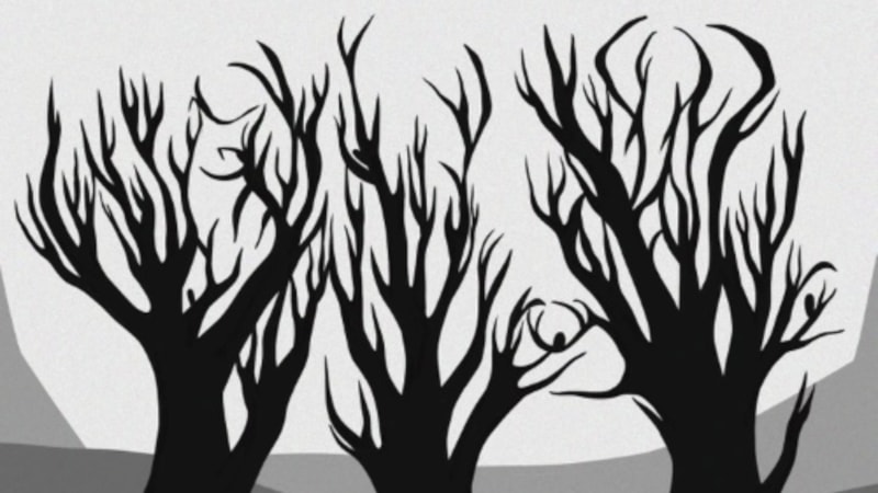 Optik İllüzyon: Ağaçların Arasında Gizleniyor, Üçünü de Kimse Göremiyor...