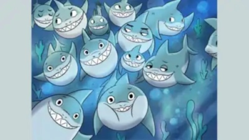 Köpek Balıklarıyla Dolu Bu Optik İllüzyona Bakın, Gizli Balığı Yakalayın...