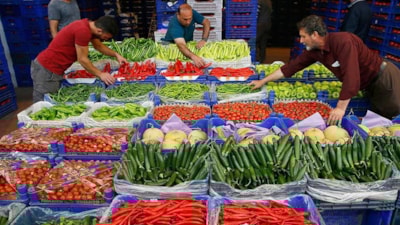 Uzun zamandan bu yana beklenen 'hal kanunu tasarısı' hazırlandı