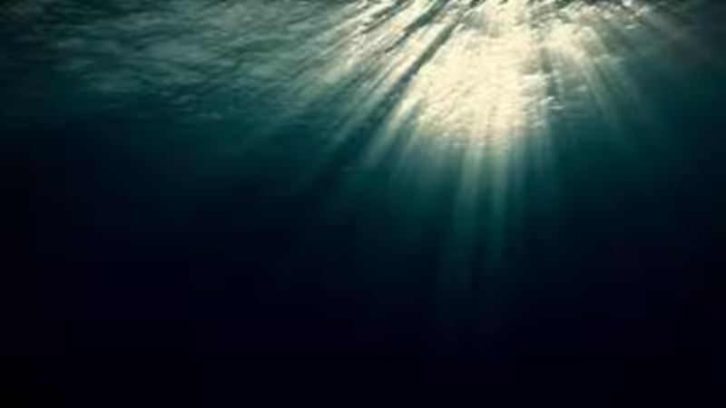 Dünya okyanuslarının yüzde 21'i gizemli bir şekilde koyulaşıyor: İşte nedeni