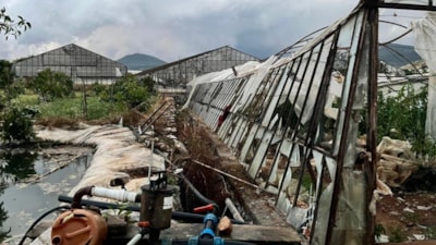 Antalya'da hortum: Seralar yıkıldı, çatılar uçtu