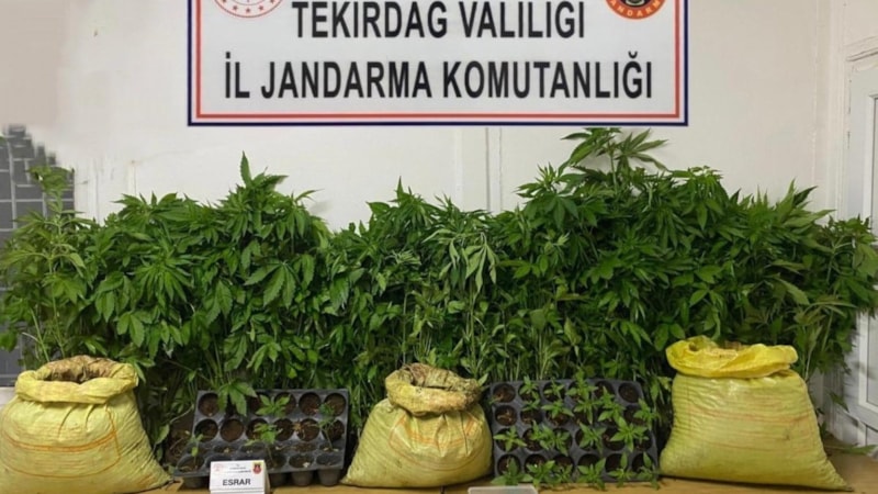 Tekirdağ'da jandarmadan uyuşturucu operasyonu