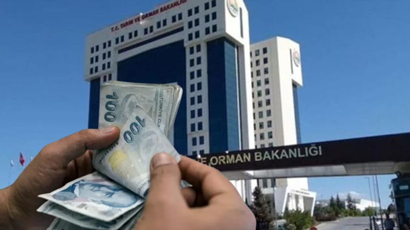 Bakanlık duyurdu: Başvuran 18 bin TL alacak