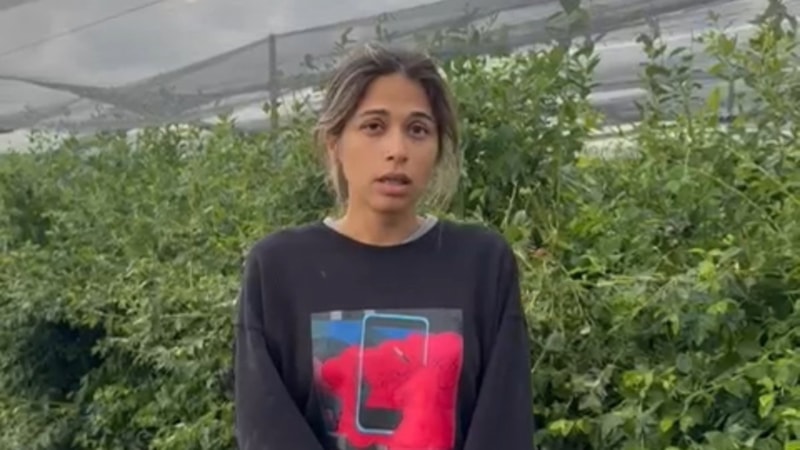 Antalya'da dolu ve hortumun vurduğu tarlasını görünce gözyaşlarını tutamadı