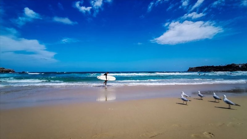 O plajlara sirke istasyonları kuruldu: İşte sebebi...