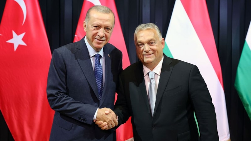 Cumhurbaşkanı Erdoğan, Macaristan Başbakanı Orban ile görüştü