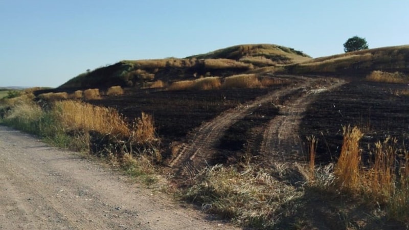 Batman'da soda şişesi 100 dönümlük ekili araziyi küle çevirdi