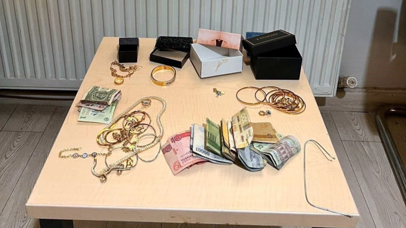 Mardin'de 2 kardeş, servet değerinde hırsızlık yaptı