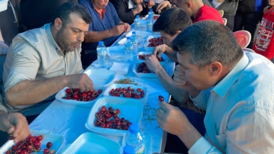 Manisa'da 10 dakikada 2 buçuk kilo kiraz yedi: Altın kazandı