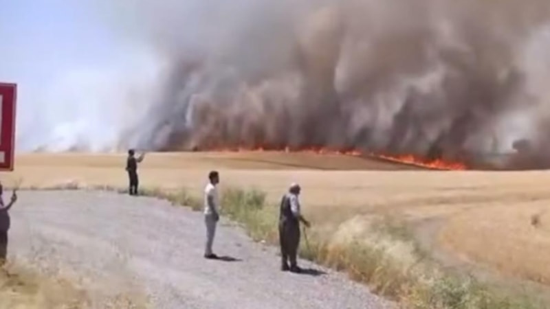 Diyarbakır'da bin dönümlük ekili alan alevlere teslim oldu