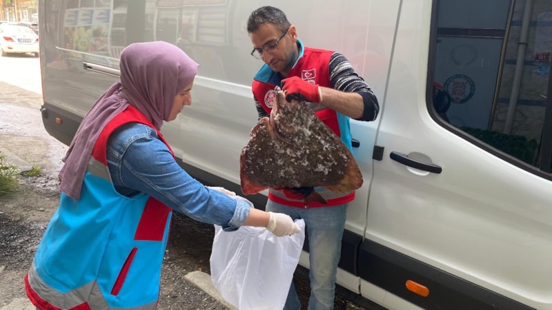 Sinop'ta kaçak avlanan 363 kalkan balığı vatandaşa dağıtıldı