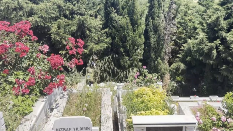 İstanbul'da mezarlıkta bebek cesedi bulundu