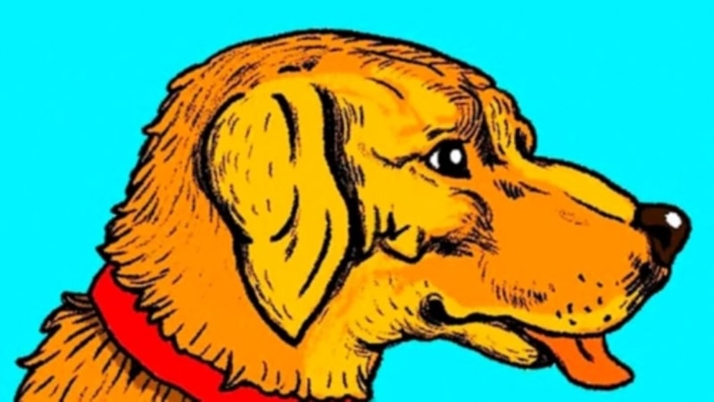 Optik İllüzyon: Köpeğin İçindeki Gizli Figüre Bakın, Zekanızı Anlayın...