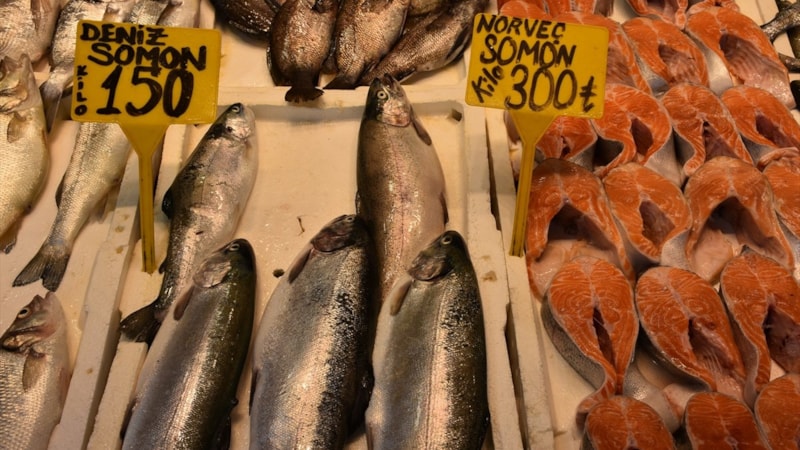 Trabzon'da somon ve alabalık bolluğu