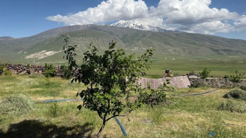 Iğdır'da çorak araziyi yeşil bir cennete dönüştürdü