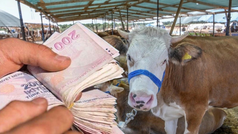 Hesabı olan yaşadı: Kurban alışverişine 1300 TL indirim yapılacak