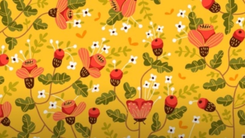 Keskin illüzyon: Görseldeki kelebek çok iyi saklanıyor, IQ'su 140 olanlar buluyor...