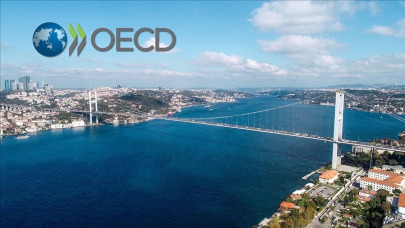 OECD, Türkiye'nin büyüme tahminini açıkladı