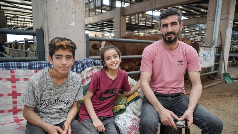 Bursa'da hayvan pazarının 8 yaşındaki satıcısı Ecrin