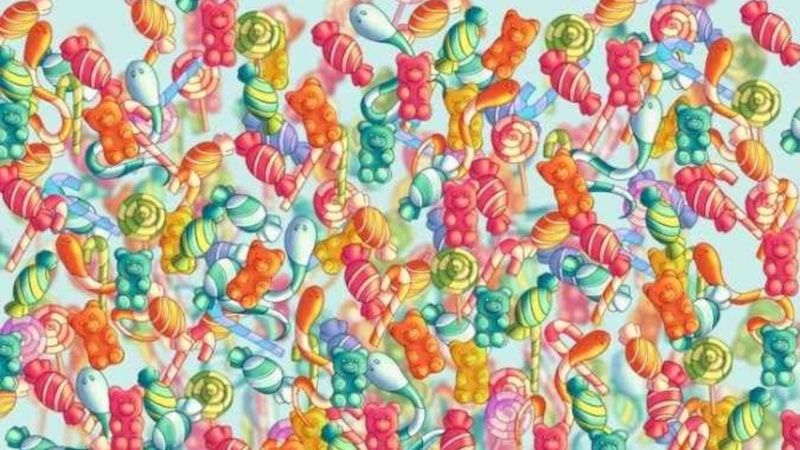 IQ Testi: Peluş ayıyı 5 saniyede görecek misiniz? Eğer IQ'nuz yüksekse...