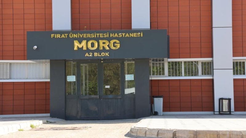 Elazığ'da doğa yürüyüşünde kayalıktan düşen genç öldü