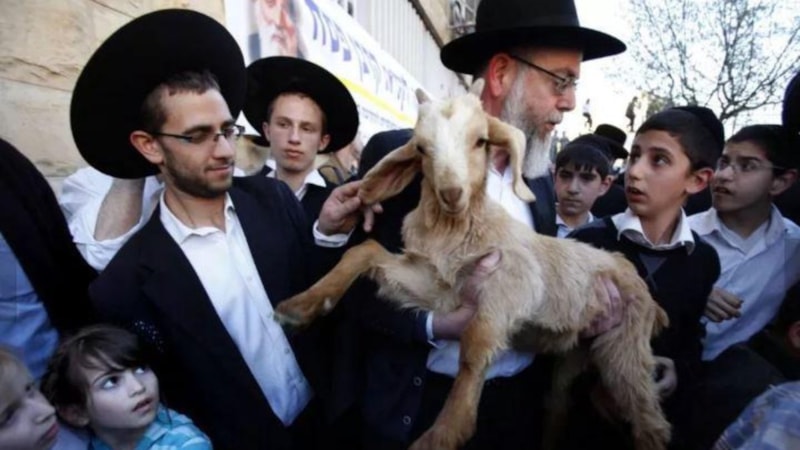 Ümit Yenişehirli yazdı: Yahudilik ve Hıristiyanlık’taki kurban