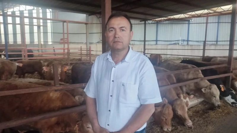 Manisa'da fotoğrafını çekmek istediği kurbanlık saldırdı