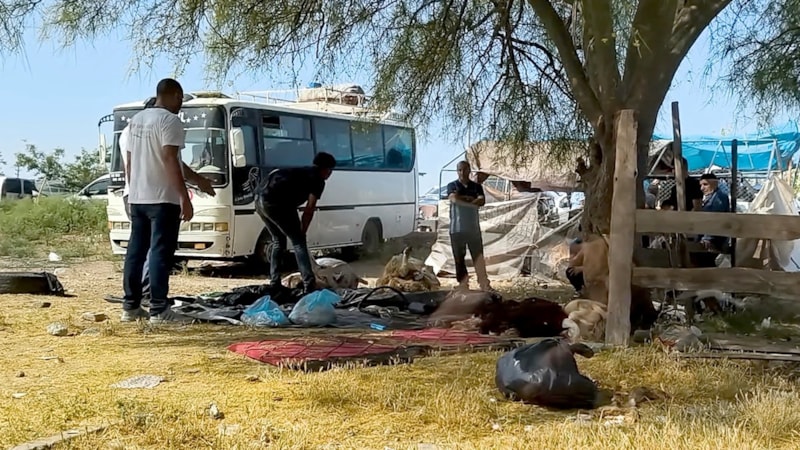 Adana'da kurbanlıklar kaldırım kenarında kesildi