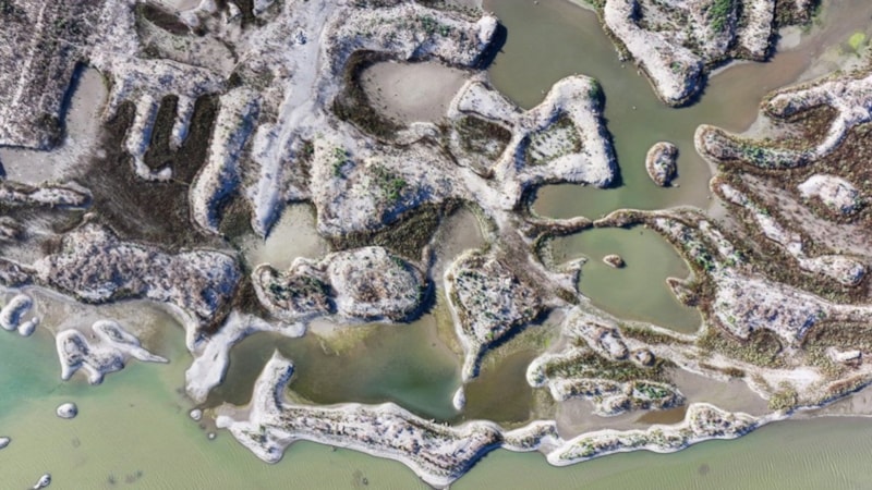 İzmir'e mayısta 6 gün yağmur yağdı: Barajlar alarm verdi