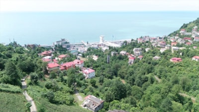 Sarp ve Sarpi'de akrabalık ilişkileri 104 yıldır yaşatılıyor