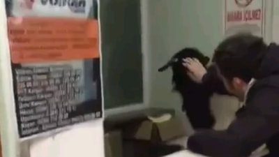 Edirne'de otogara giren inatçı keçi çekmeceden paraları alıp kaçtı